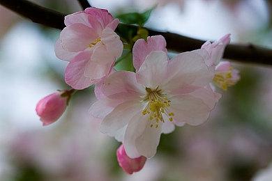 猫咪冒险游戏《迷失》今日发售 IGN发布贺图